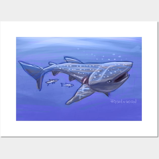 Whale Shark Sketch Wall Art by Dustin Resch